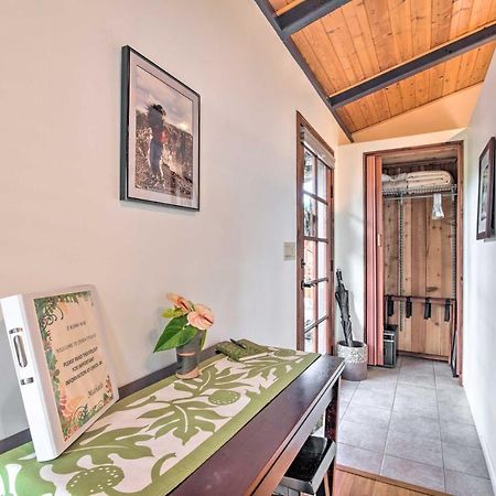 Cozy Volcano Studio With Phenomenal Rainforest Views Mountain View Exterior photo