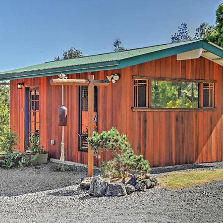 Cozy Volcano Studio With Phenomenal Rainforest Views Mountain View Exterior photo