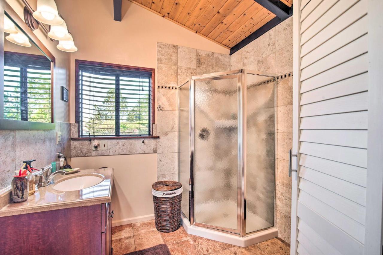 Cozy Volcano Studio With Phenomenal Rainforest Views Mountain View Exterior photo