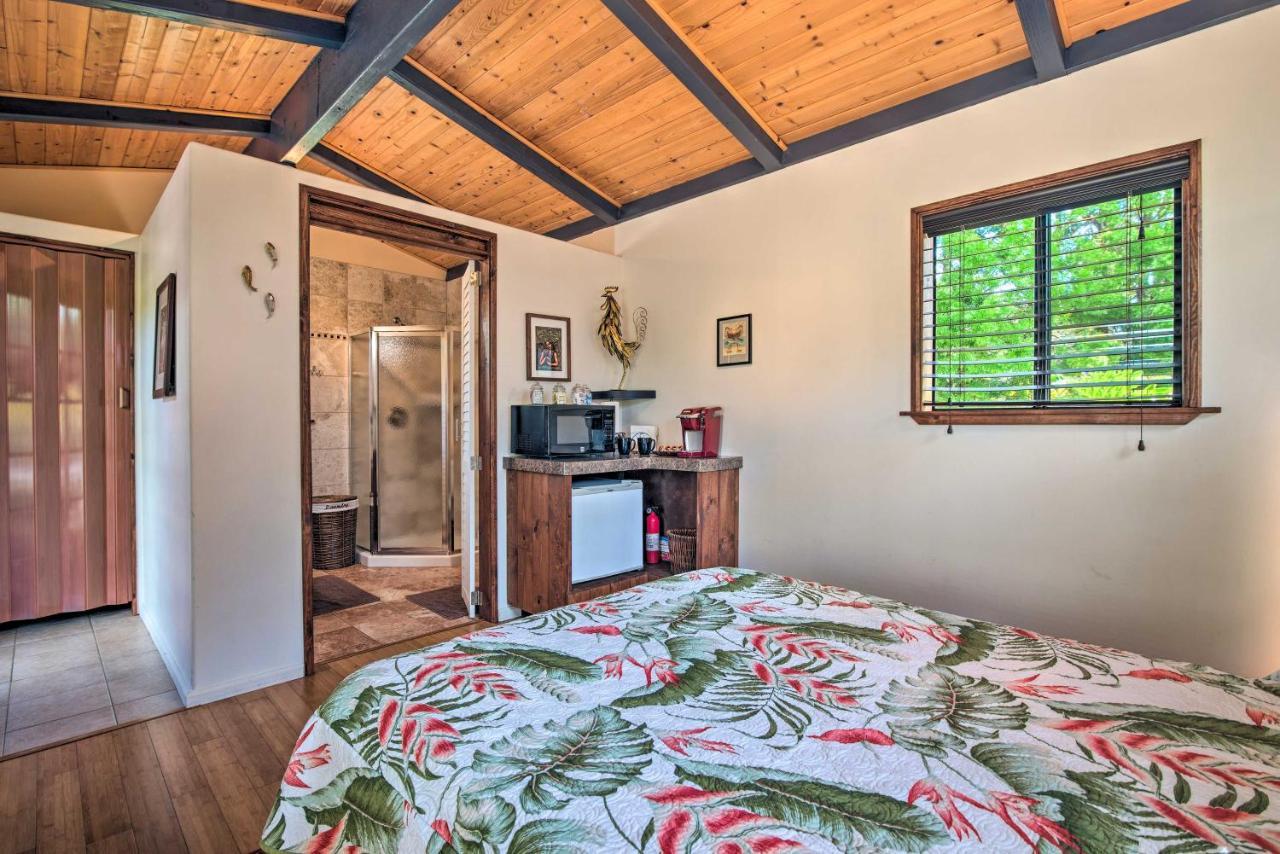 Cozy Volcano Studio With Phenomenal Rainforest Views Mountain View Exterior photo