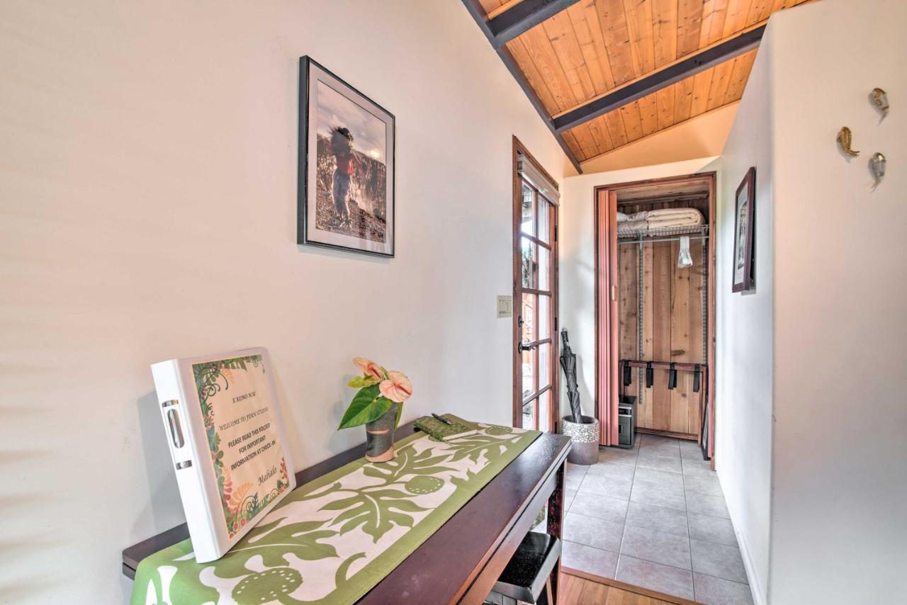 Cozy Volcano Studio With Phenomenal Rainforest Views Mountain View Exterior photo